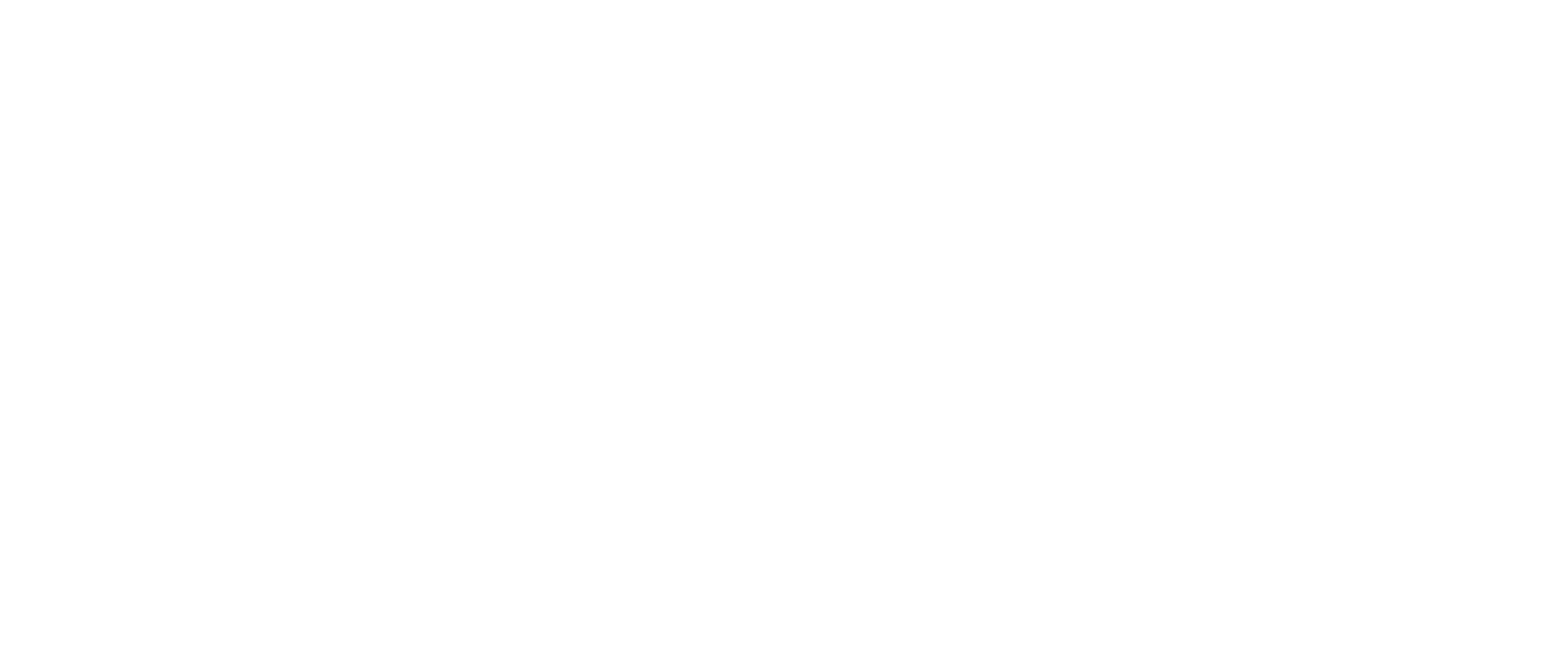 Neumi Logo